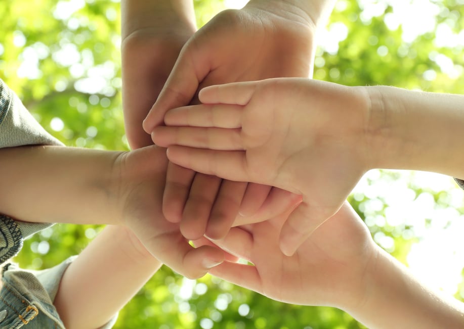 Children Holding Hands Together on Nature Background