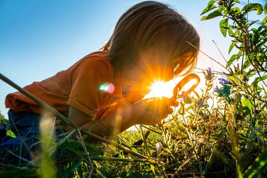 Child doing research in nature.